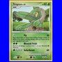 RR 052 - Tropius LV.35 - Prerelease