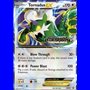 BW 096 - Tornadus EX - Staff