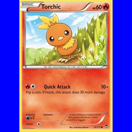 FFI 012 - Torchic - City Championships