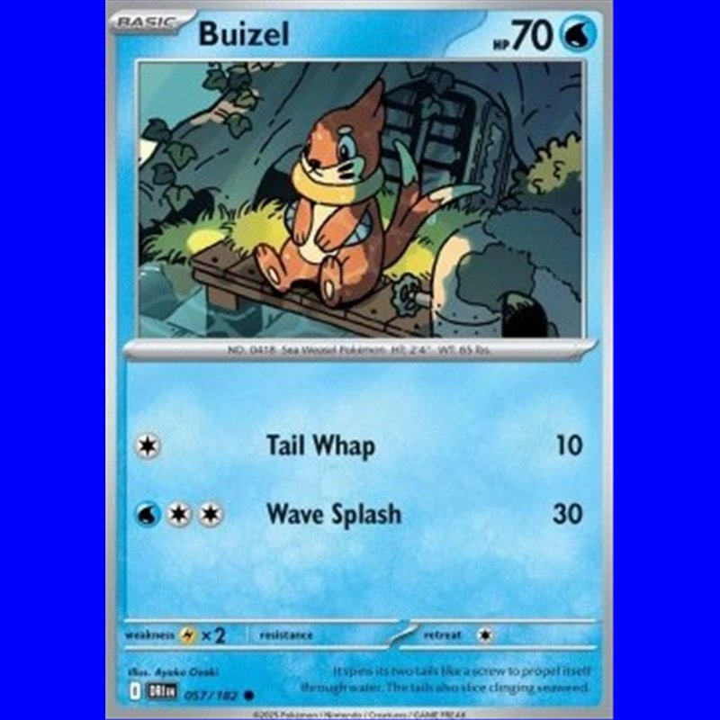 DRI 057 - Buizel