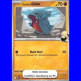 DRI 102 - Cynthia's Gible - Cosmo Holo