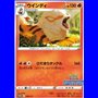 S-P 338 - Arcanine