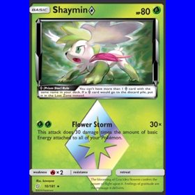 TEU 010 - Shaymin