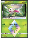 TEU 010 - Shaymin