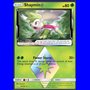 TEU 010 - Shaymin
