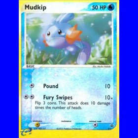 NP 010 - Mudkip