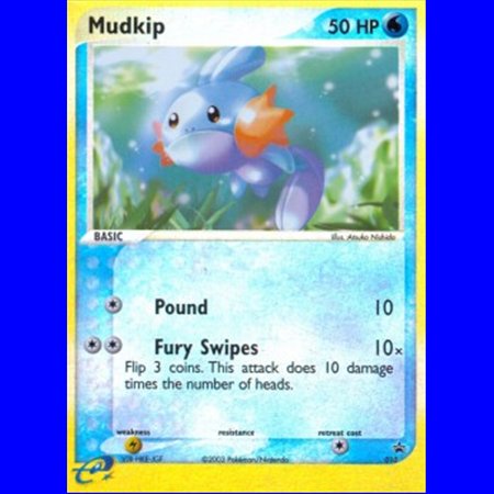 NP 010 - Mudkip