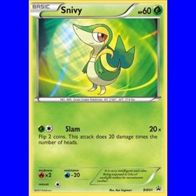 BW 001 - Snivy