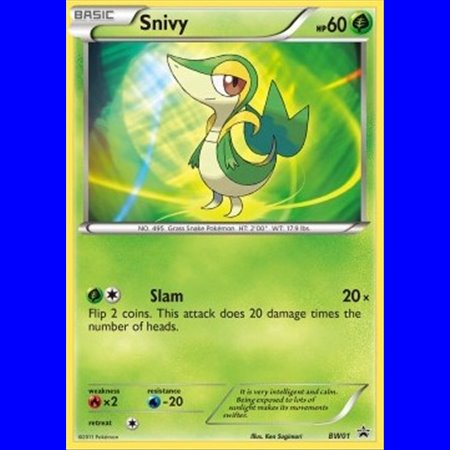 BW 001 - Snivy