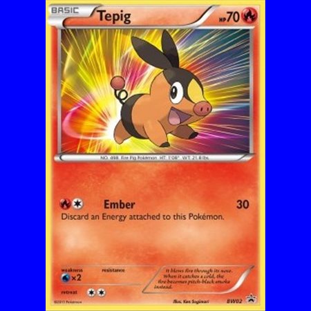BW 002 - Tepig