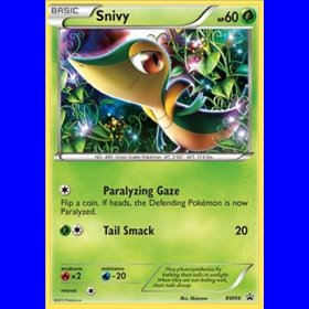 BW 006 - Snivy