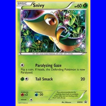 BW 006 - Snivy