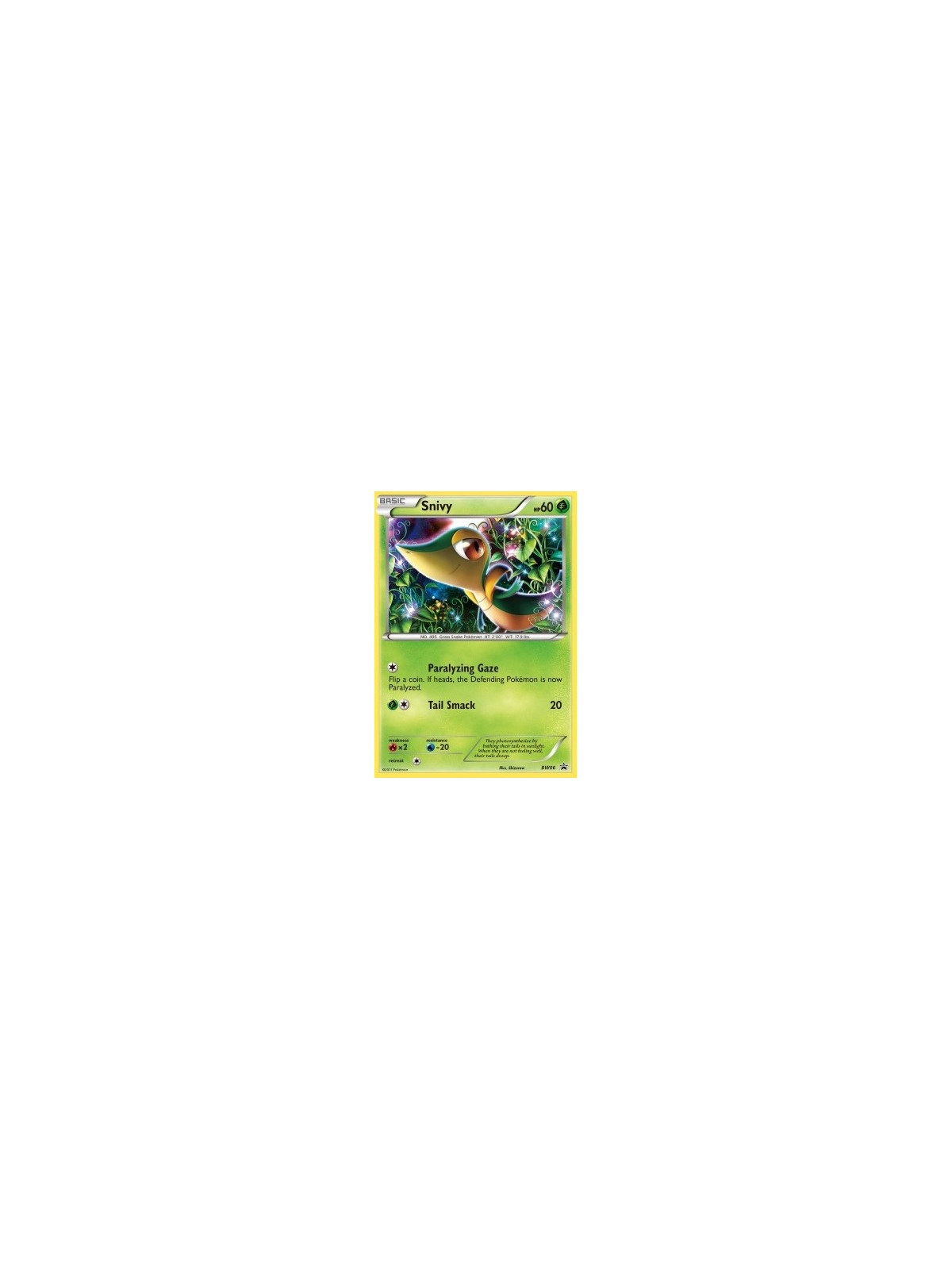 BW 006 - Snivy