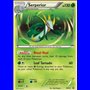 BW 020 - Serperior