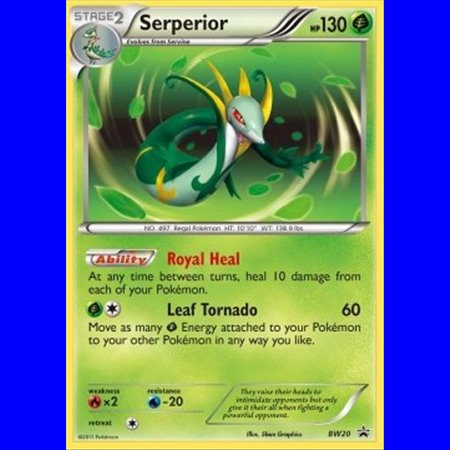 BW 020 - Serperior