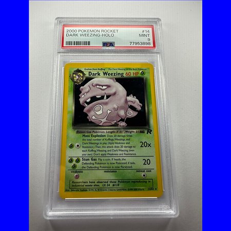 PSA - TR 014 - Dark Weezing (9)