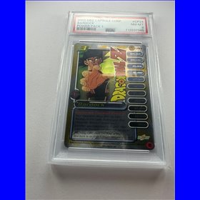 PSA - CP24 - Bardock (8)