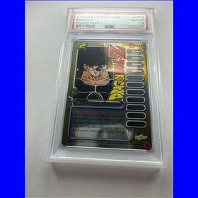 PSA - CP23 - Bardock (8)