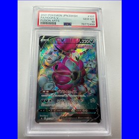 PSA - s8 107 - Hoopa V (10)