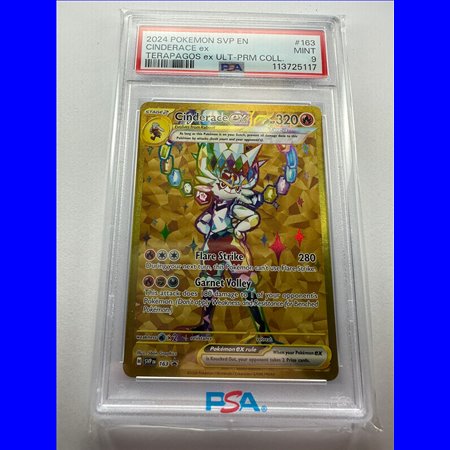 PSA - SVP 163 - Cinderace ex (9)