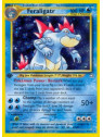 NG 004 - Feraligatr
