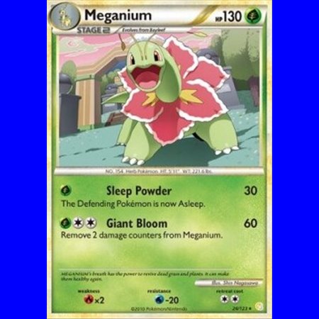 HS 026 - Meganium - Shattered Holo