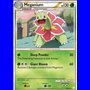 HS 026 - Meganium - Shattered Holo