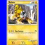 HGSS 019 - Raikou