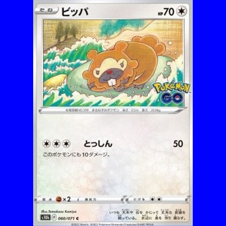 s10b 060 - Bidoof - Ditto
