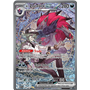 ASC 286 - N's Zoroark ex
