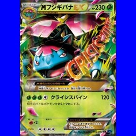 XY1x 002 - MVenusaur EX
