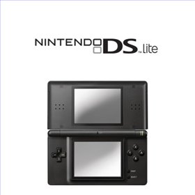 DS Lite Zwart met oplader en pennetje