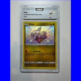 PCA - HIF SV38 - Gilbe (9.5)