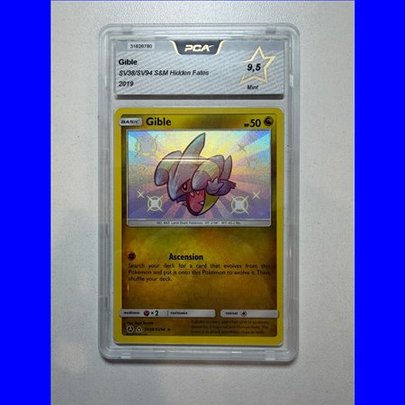 PCA - HIF SV38 - Gilbe (9.5)