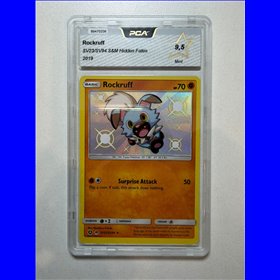 PCA - HIF SV23 - Rockruff (9.5)