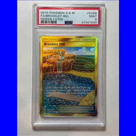 PSA - HIF SV88 - Brooklet Hill (9)