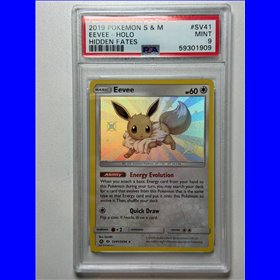 PSA - HIF SV41 - Eevee (9)