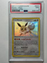 PSA - HIF SV41 - Eevee (9)