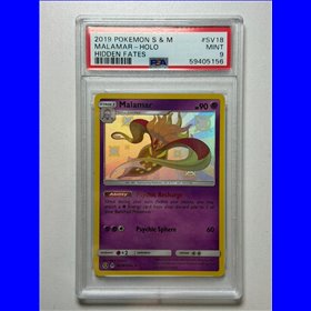 PSA - HIF SV18 - Malamar (9)