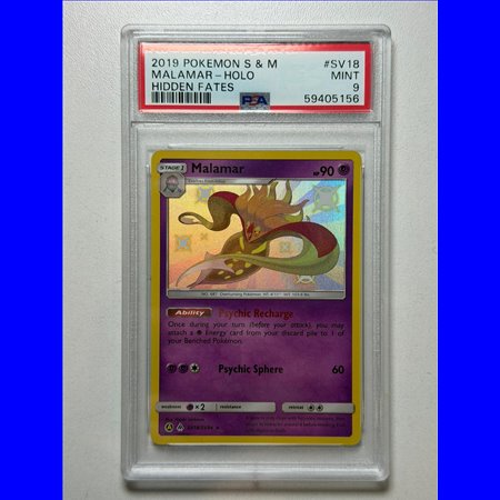 PSA - HIF SV18 - Malamar (9)