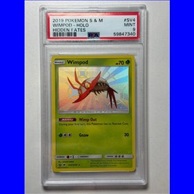 PSA - HIF SV04 - Wimpod (9)