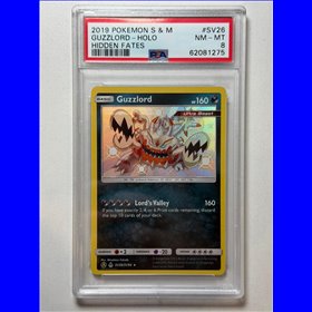 PSA - HIF SV26 - Guzzlord (8)