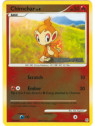 DP 076 - Chimchar Lv.8 - BKPR