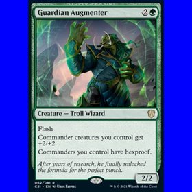 C21 062 - Guardian Augmenter