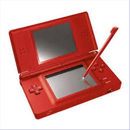 DS Lite Rood