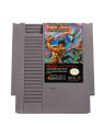 Wizards & Warriors - NES