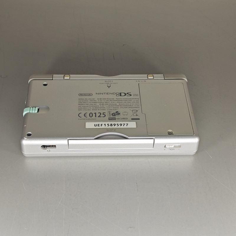 DS Lite Wit