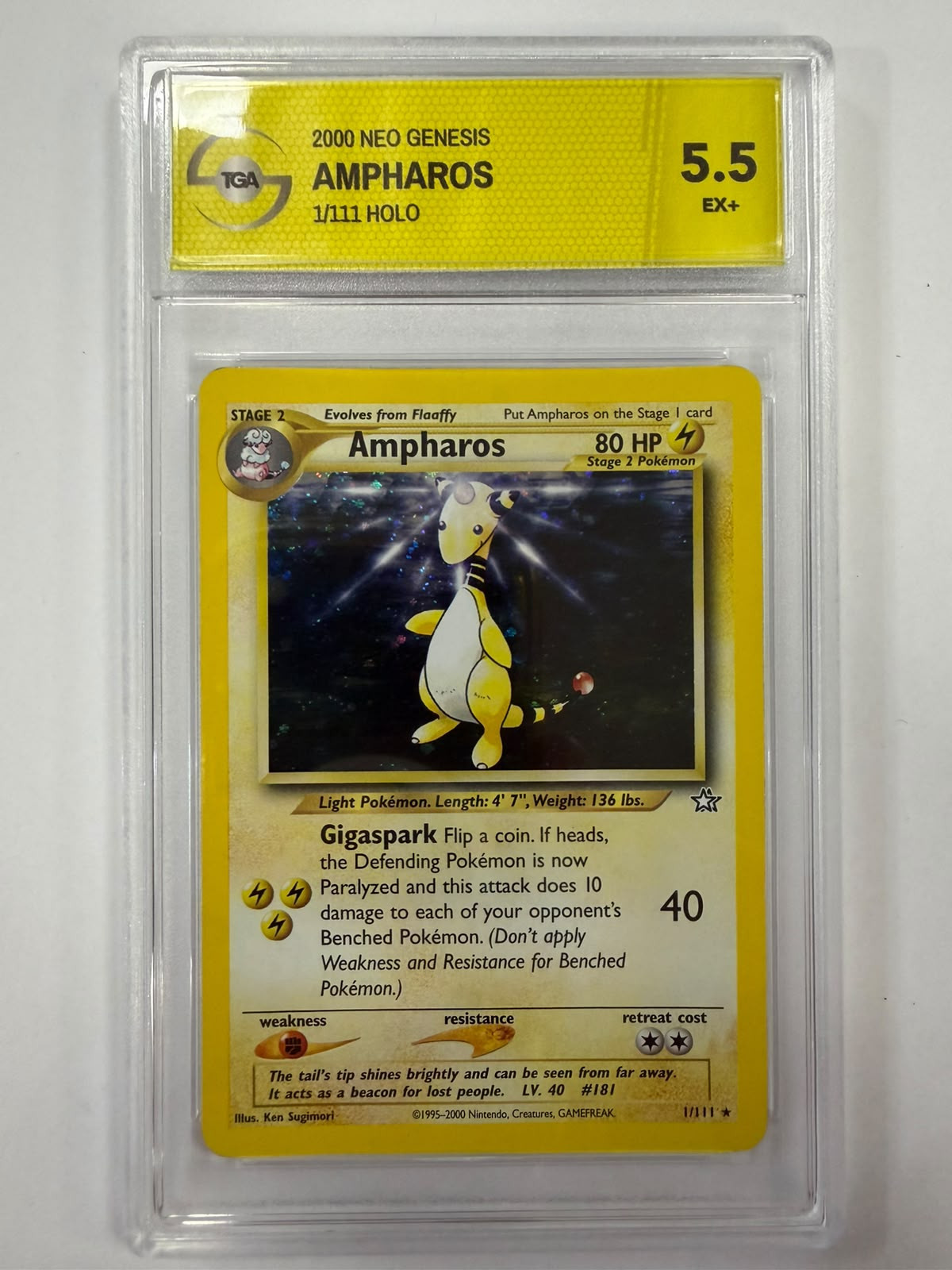 TGA - NG 001 - Ampharos (5.5)