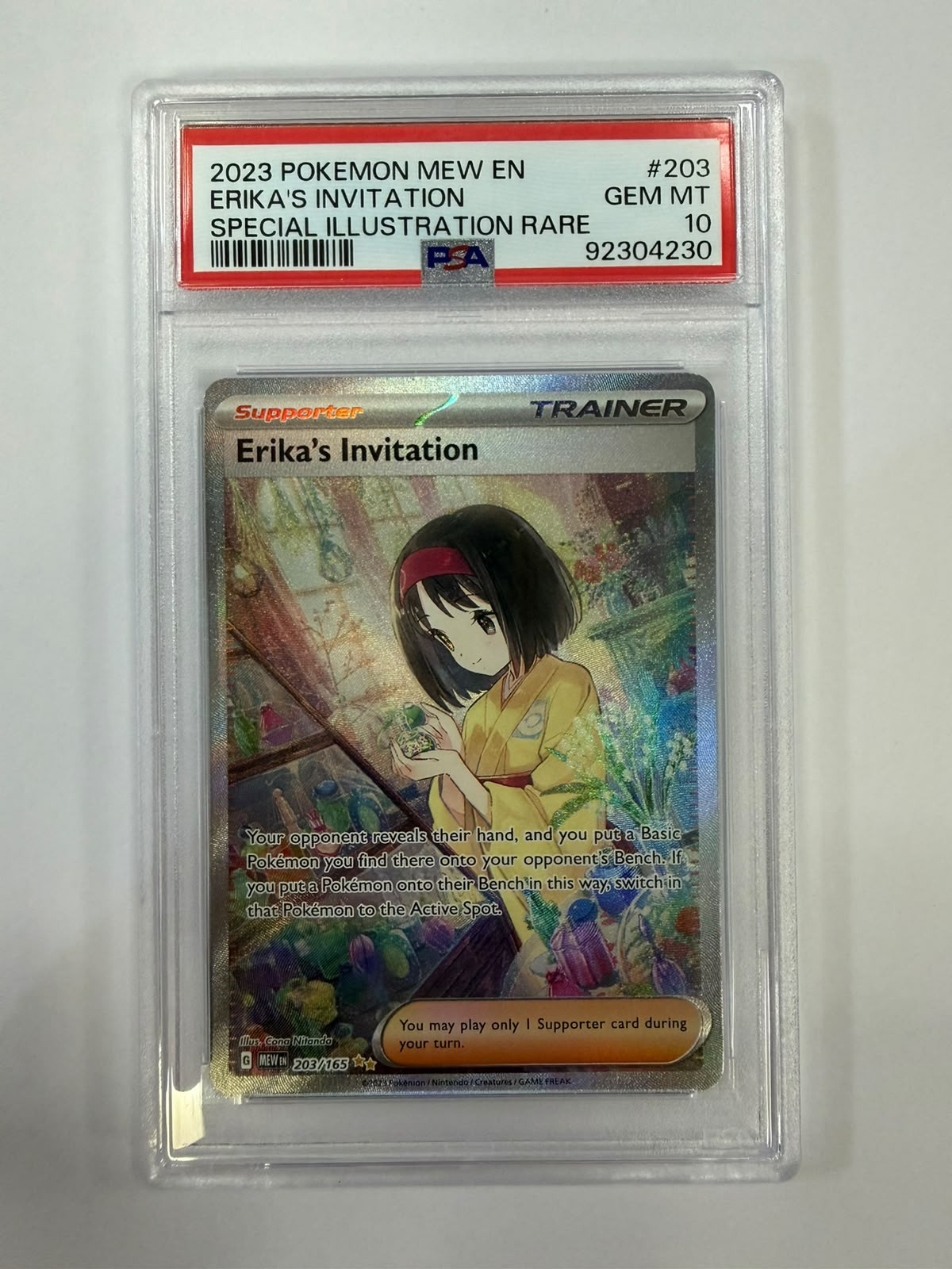PSA - MEW 203 - Erika's Invitation (10)