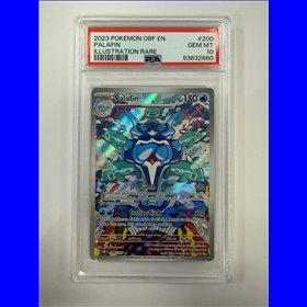 PSA - OBF 200 - Palafin (10)